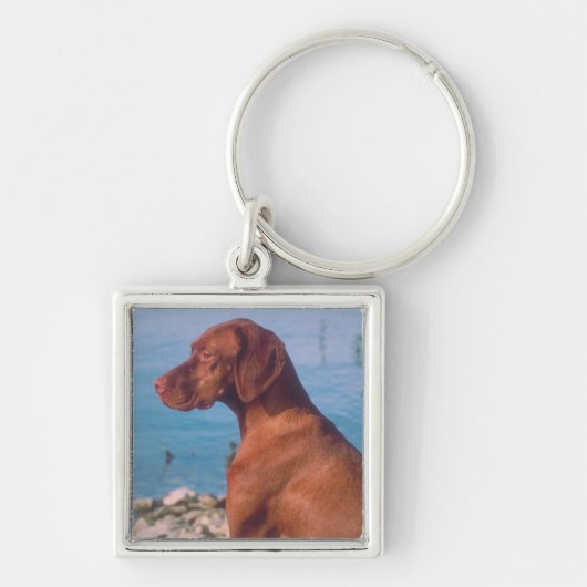 Vizsla キーホルダー (正面)