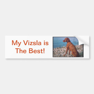Vizsla バンパーステッカー