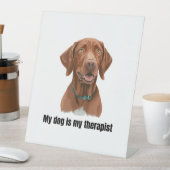 Vizsla 台座サイン (インサイチュ)