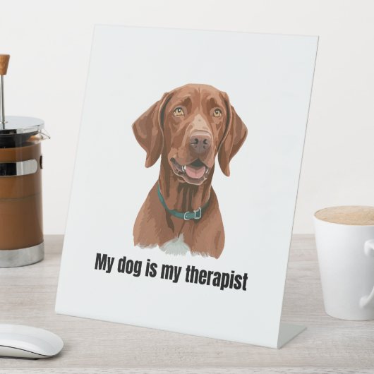 Vizsla 台座サイン (インサイチュ)