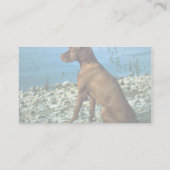 Vizsla 名刺 (裏面)