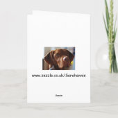 Vizsla -私の耳は大きく見ますか。 カード (裏面)