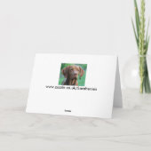 VIZSLA -空白のなカード カード (裏面)