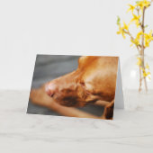 VIZSLA -空白のなカード カード (黄色い花)