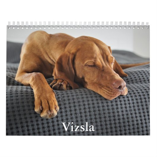Vizsla Calendar カレンダー (カバー)