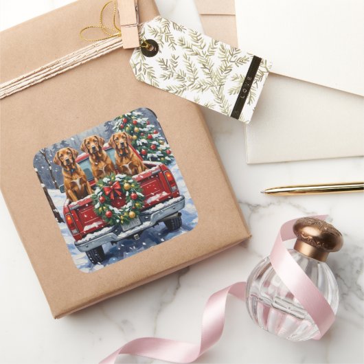 Vizsla Christmas Red Truck Holiday スクエアシール (ギフト)