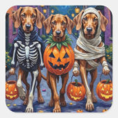 Vizsla Dogs Trick-or-Treating in Halloween Costume スクエアシール (正面)