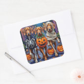 Vizsla Dogs Trick-or-Treating in Halloween Costume スクエアシール (封筒)