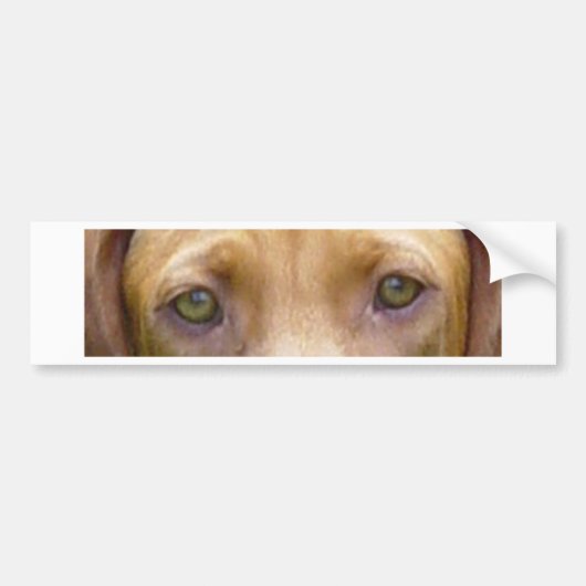 vizsla eyes.png バンパーステッカー (正面)