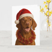 Vizsla in a Santa hat Christmas card カード (黄色い花)