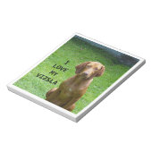vizsla love w w pic ノートパッド (回転)