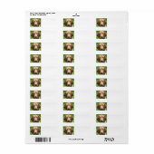 vizsla.png ラベル (フルシート)