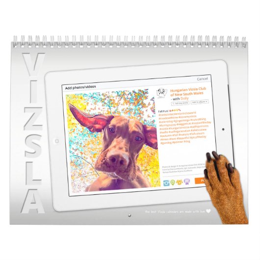 Vizsla Selfieのカレンダー カレンダー (カバー)