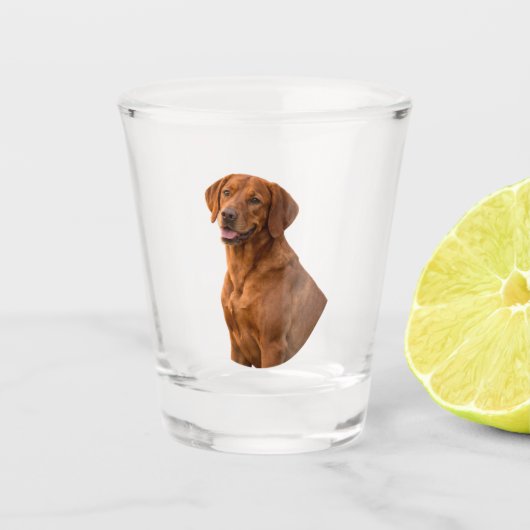 Vizsla Shot Glass ショットグラス (正面)