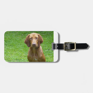 vizsla sitting.png ラゲッジタグ