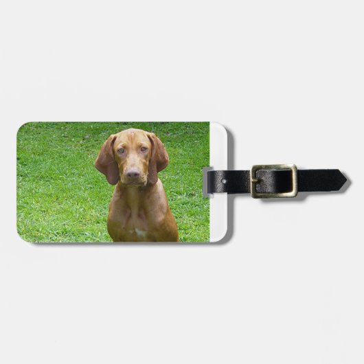 vizsla sitting.png ラゲッジタグ (正面横)