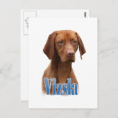 Vizsla、Vizsla犬品種、Vizsla犬、Vizsla犬品種 ポストカード (正面/裏面)