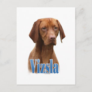 Vizsla、Vizsla犬品種、Vizsla犬、Vizsla犬品種 ポストカード