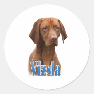 Vizsla、Vizsla犬品種、Vizsla犬、Vizsla犬品種 ラウンドシール