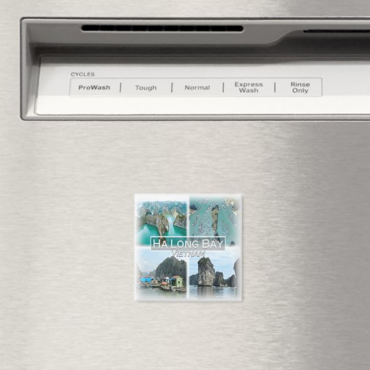 VN0014アジア,ベトナム,ハロンベイ,冷蔵庫 マグネット (インサイチュ (食洗機))