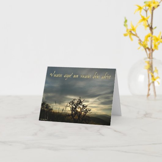 VOCACTUS カード (黄色い花)