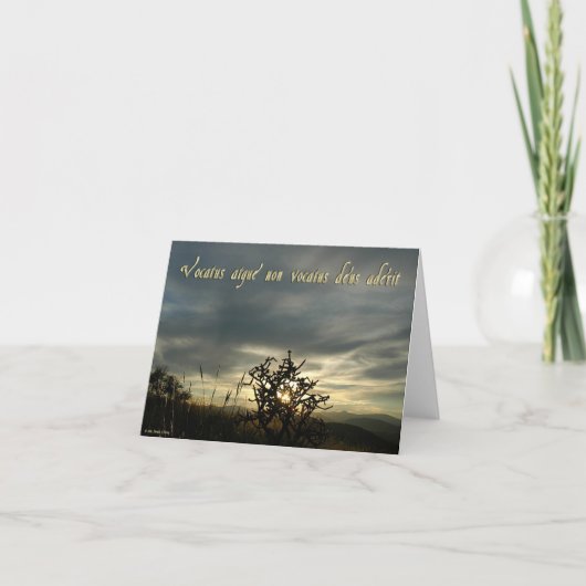 VOCACTUS カード (正面)