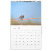 Vögel der Nordsee Kalender カレンダー (1月 2027)