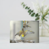 vogelsの複数形 ポストカード (スタンド正面)