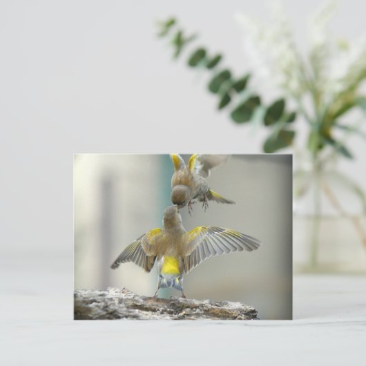 vogelsの複数形 ポストカード (スタンド正面)