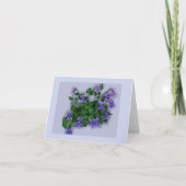 Voilets カード (正面)