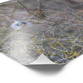 Vol de la mésange bleue フォトプリント            (角)