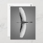 Vol.oiseauグランドズailes ポストカード (正面/裏面)