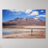 Volcano in an Altiplano landscape poster ポスター (正面)