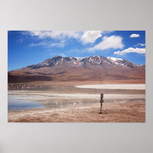Volcano in an Altiplano landscape poster ポスター (正面)