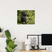 Volcanoes National Park, Mountain Gorilla ポスター (ホームオフィス)