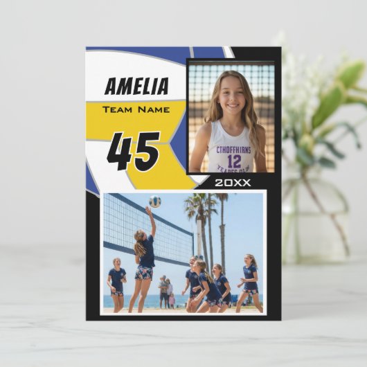 Volleyball Player 2 Photo Memory Mate (スタンド正面)