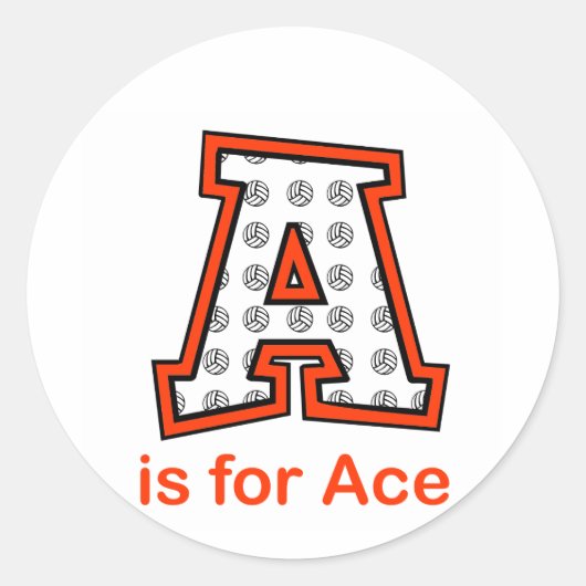 VolleyChick Aはエース向け ラウンドシール (正面)