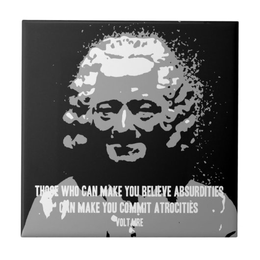 Voltaire -不条理 タイル (正面)