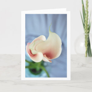 Vortex White Calla Lily Artフォトノートカード カード
