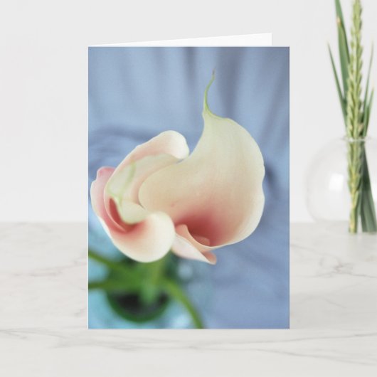 Vortex White Calla Lily Art Photo Note Cards カード (正面)