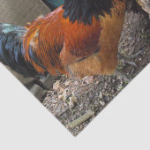 Vorwerksの鶏の組、オンドリおよび雌鶏の食べ物 薄葉紙 (詳細)