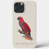 Vosmaer Eclectus Parrot, Eclectus Roratus Vosmaeri Case-Mate iPhoneケース (裏面)