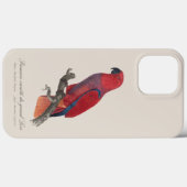 Vosmaer Eclectus Parrot, Eclectus Roratus Vosmaeri Case-Mate iPhoneケース (裏面 (横))