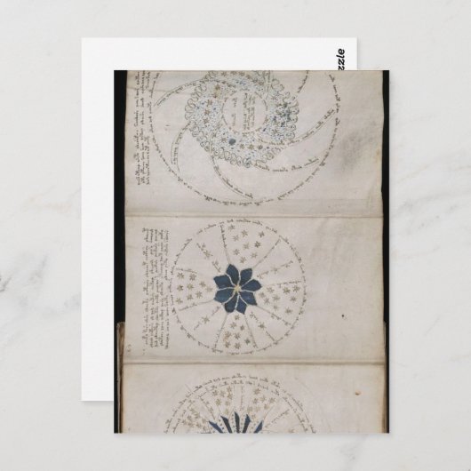 Voynichの原稿の68rページ。この三杯 ポストカード (正面/裏面)