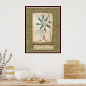 Voynich Plate 13 ポスター (キッチン)