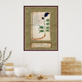 Voynich Plate 6 ポスター (キッチン)