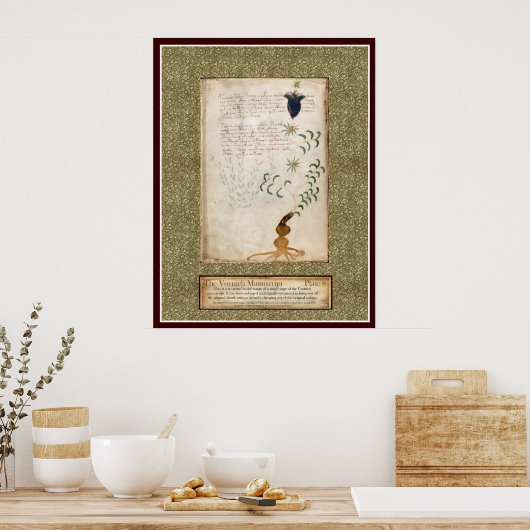 Voynich Plate 8 ポスター (キッチン)