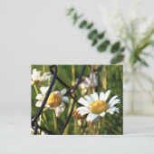 Vrede achter het hek. In bloemen illustratief. ポストカード (スタンド正面)