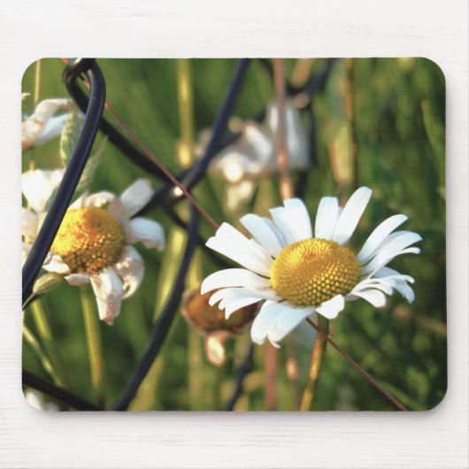 Vrede achter het hek. In bloemen illustratief. マウスパッド (正面)