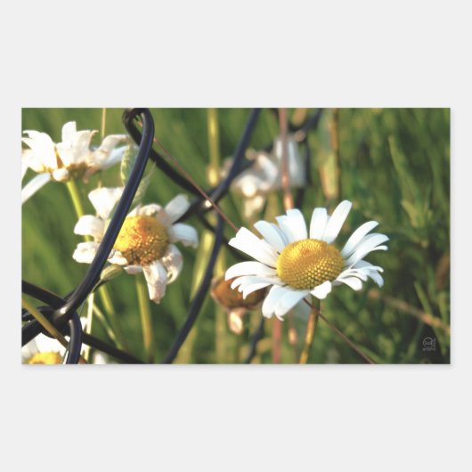 Vrede achter het hek. In bloemen illustratief. 長方形シール (正面)